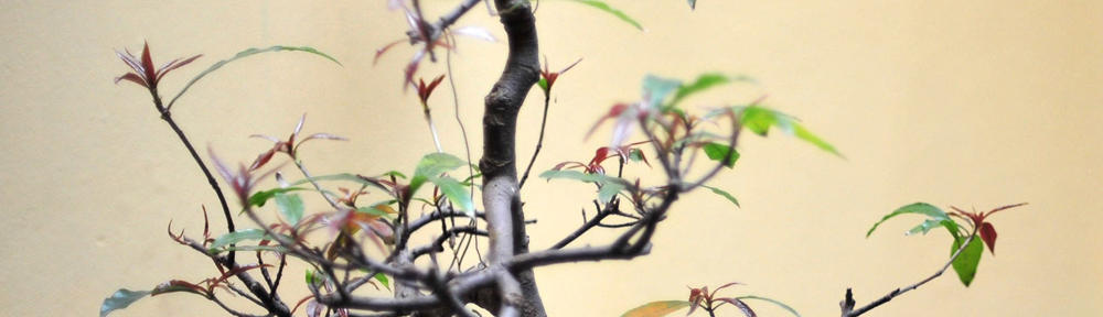 Grupo Mendoza – Expertos en SG-SST